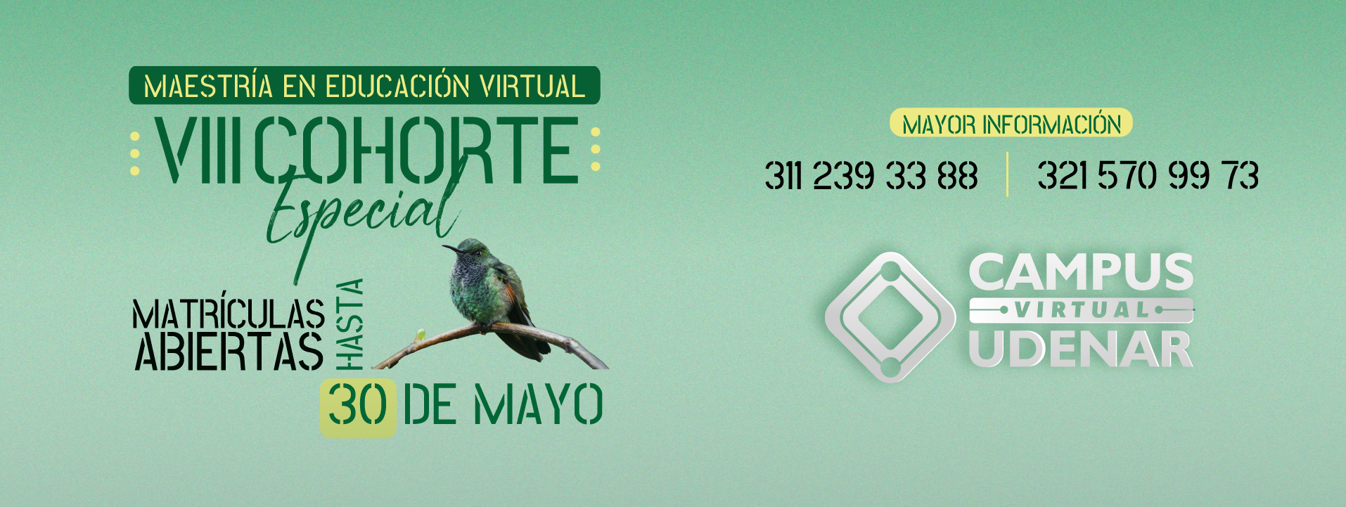 Banner Campus Virtual
